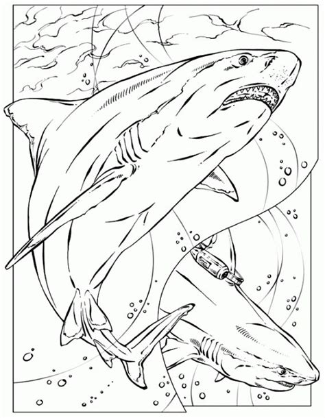 Nurse Shark Coloring Page at GetColorings.com | Free printable colorings pages to print and color