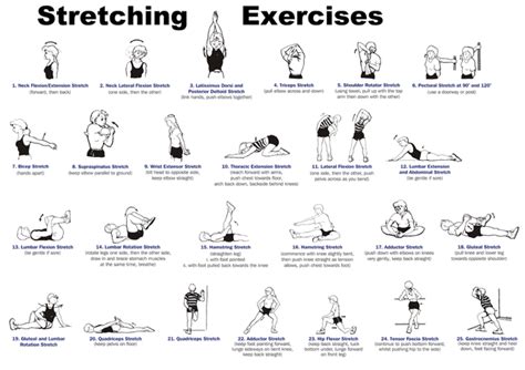 Exercise Poster Stretching Warm Up Cool Down Chart (A1 Paper Format) | canoeracing.org.uk