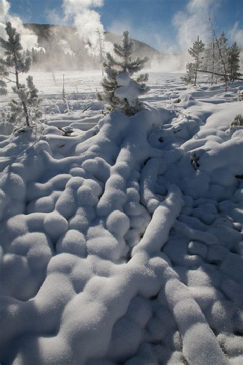 Winter in Yellowstone