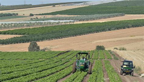 AGRICULTURE IN THE DESERT - THE FURROW