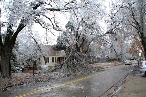 Ice Storm Damage Photograph by Reed Timmer/science Photo Library - Fine Art America