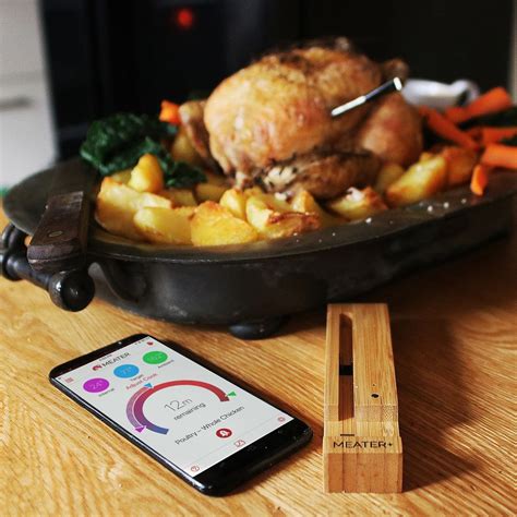 Meater Wireless Meat Thermometer » Petagadget