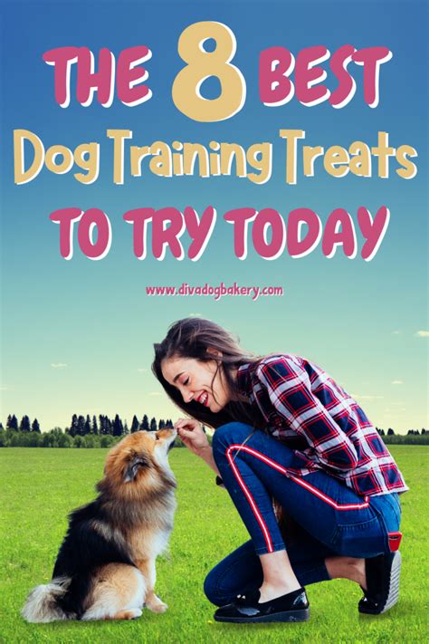 The 8 Best Dog Training Treats