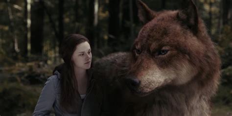 People Are Loving This Twilight Fan's Reaction To Finding Out How The Wolf Scenes Were Filmed ...