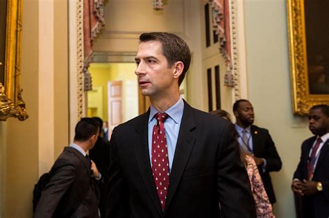 Is Tom Cotton’s winning streak about to end? - POLITICO