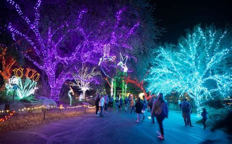 ZooLights at the Phoenix Zoo | Tempe Tourism