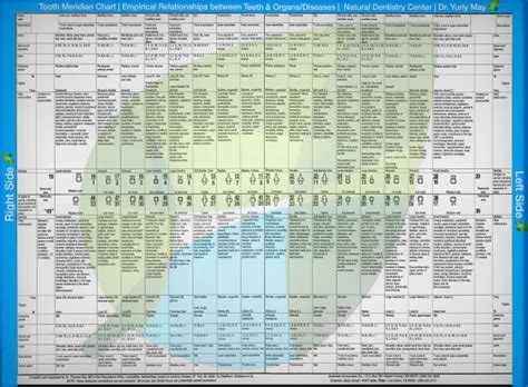 Tooth Meridian Chart Emotions