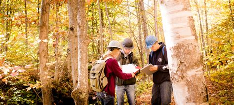 Forestry | CFRES | Michigan Tech