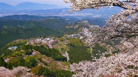 Mount Yoshinoyama (Yoshinoyama Cherry Blossoms) - Yoshino Travel