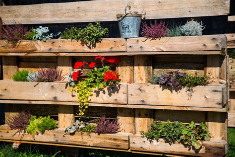 Vertikaler Garten: Pflanzen in luftigen Höhen - Plantura