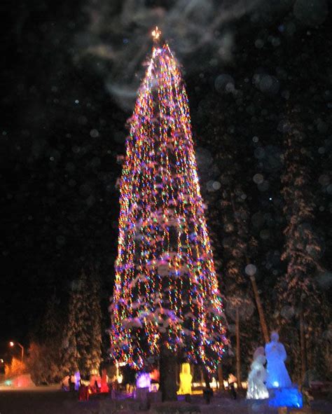 About North Pole, Alaska | Christmas in america, Alaska vacation, Alaska