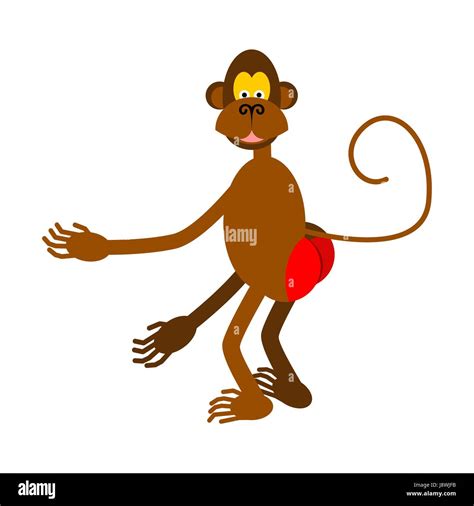 hamadryad isolated. monkey red butt on white background Stock Vector ...