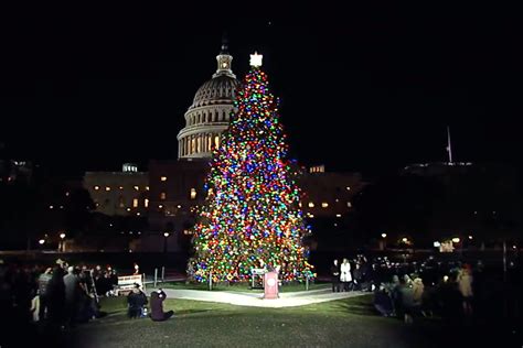 Spectacular Lighting Ceremony | News, Sports, Jobs - The Intermountain