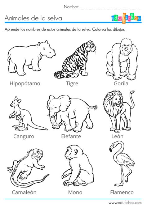 Los animales de la selva para colorear. Fichas infantiles...