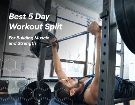 Best 5 Day Workout Split For Building Muscle And Strength – Fitbod