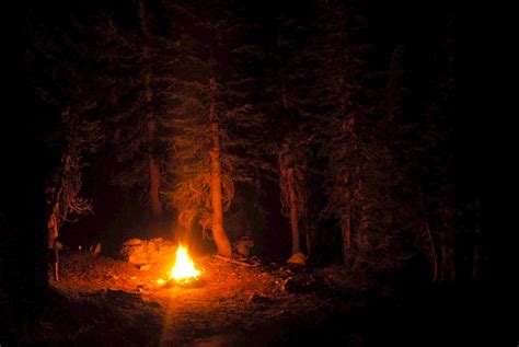 maine hiking | the late bloomer hiker | Night forest, Maine hiking, Forest