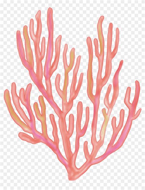 #seaweed #coral #coralreefs #coralreef #sea #ocean - Transparent Cartoon Coral Reef, HD Png ...