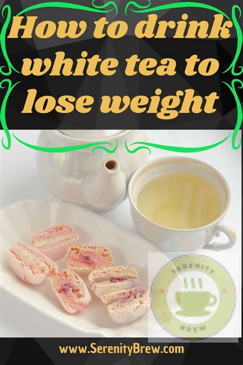 How to drink white tea to lose weight - Serenity Brew