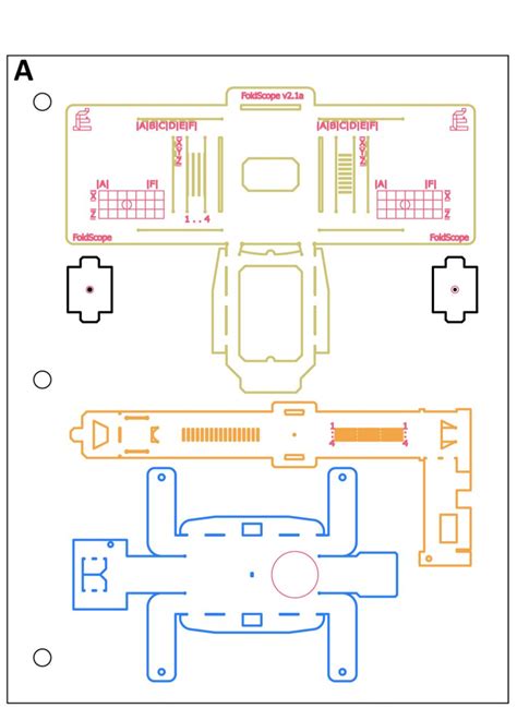 Foldscope: Origami based print and fold paper-microscope | Biology ...