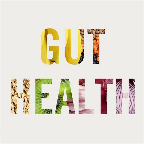 How Your Microbiome Impacts Your Overall Health