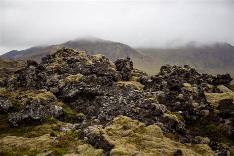 Lava And Moss - The Lava Fields Of Iceland - Meandering Wild