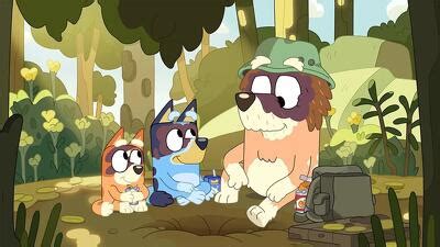 Bluey (S02E10): Rug Island Summary - Season 2 Episode 10 Guide