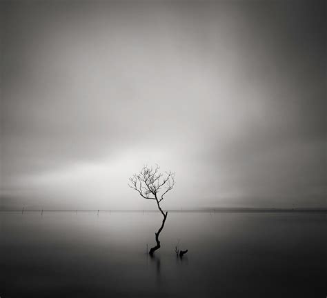 Isolation, - Minimalist Photography Awards