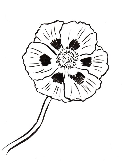 Poppy Coloring Pages Printable - Printable Word Searches