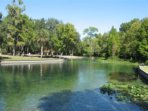 Rock Spring at Kelly Park | Florida vacation, Places to visit, Florida travel