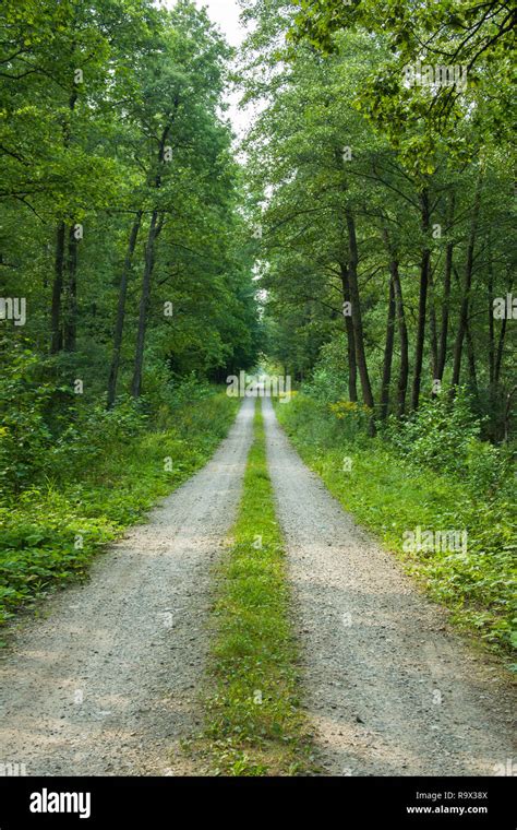 Straight path hi-res stock photography and images - Alamy