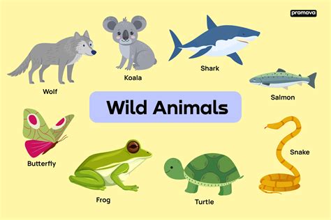 Wild Animals Names And Descriptions In English