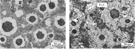 Effect of normalizing temperature on Microstructure of nodular cast ...