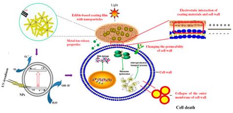 Molecules | Special Issue : Frontiers of Antimicrobial Nanoparticles