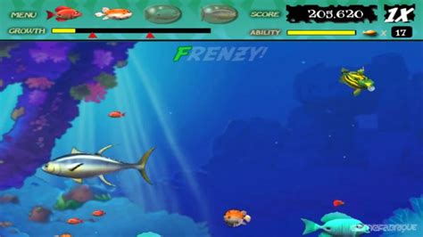 Feeding Frenzy 2 Download - GameFabrique