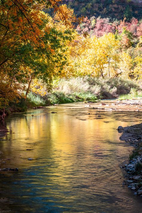 Peak Zion NP Autumn Colors! Zion National Park Fall Foliag… | Flickr