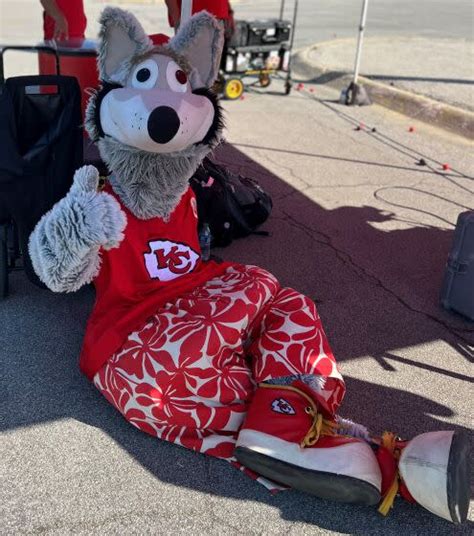 Super Bowl LVII: How Kansas City Chiefs mascot KC Wolf nearly died on ...