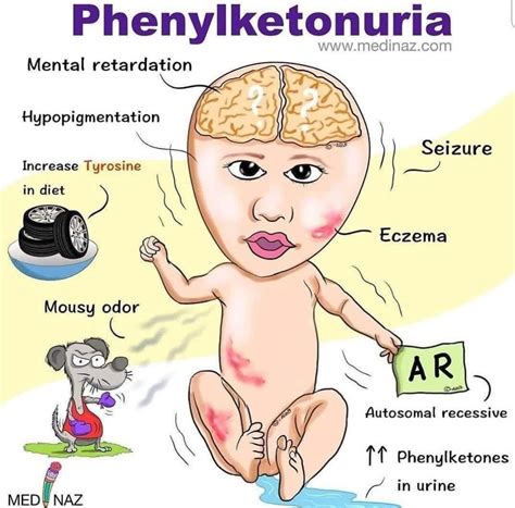 Phenylketonuria Symptoms