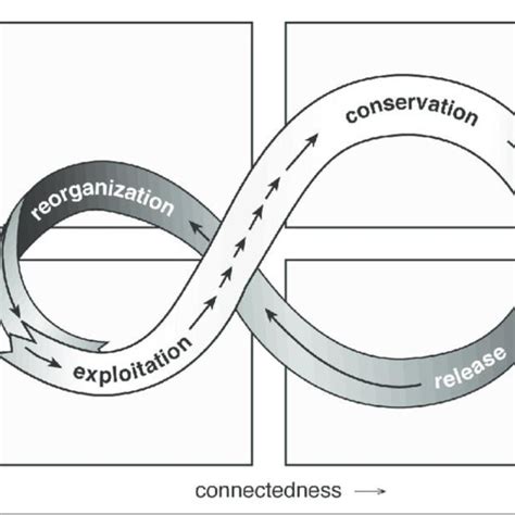 The Panarchy Adaptive Cycle Model | Download Scientific Diagram