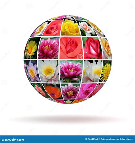 Planet flowers stock photo. Image of rose, flora, biology - 36642768