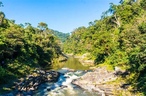 Ranomafana National Park - Madagascar Trip