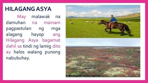 Ano Ang Yamang Gubat Ng Kanlurang Asya | Images and Photos finder