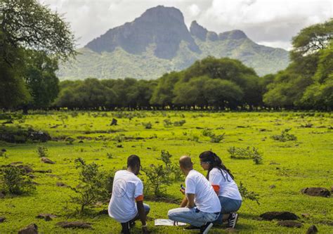 Yemen Experience | Mauritius - Yemen