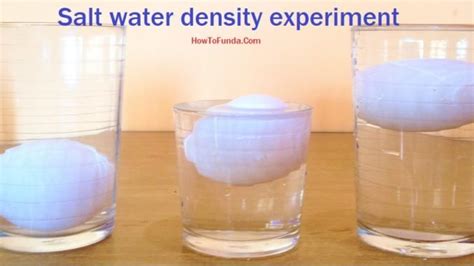 Eggs & Salt Water - Water Density Science Experiment - DIY - DIY School ...