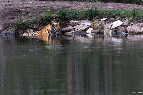 Kabini – Nagarhole National Park | Fleeting Moments Photography