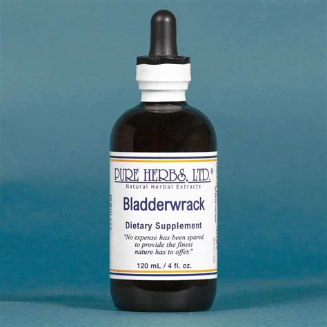 Bladderwrack Extract 4 fl. oz.