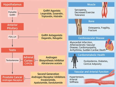 Prostate Cancer Treatment