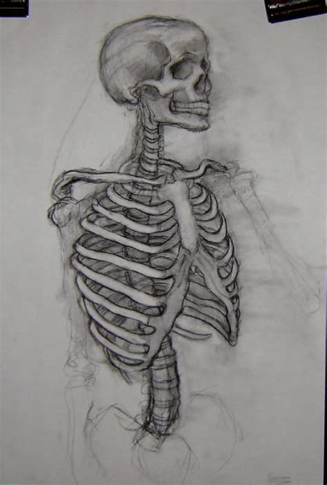#skeleton #drawing #art Skeleton Drawings, Skeleton Art, Human Skeleton, Simple Skeleton Drawing ...