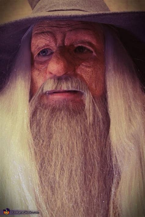 Gandalf the Grey Costume - Photo 4/4