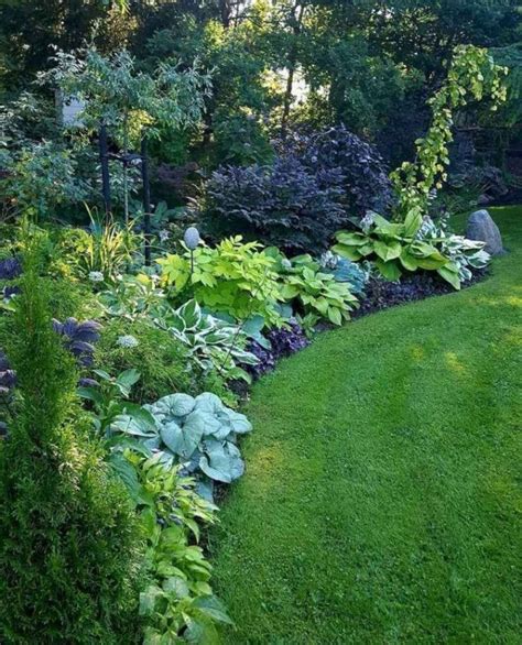 Amazing Ways to Transform Your Yard into A Lush Green Garden ...