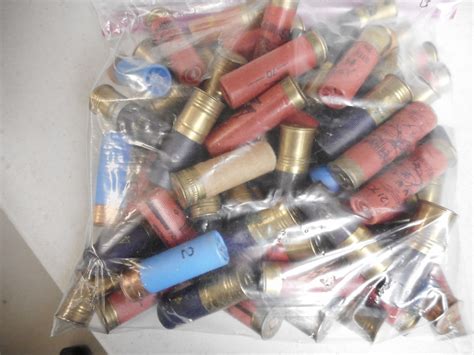 ASSORTED 12 GAUGE SHOTGUN SHELLS